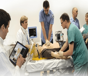 人體醫(yī)學(xué)模型