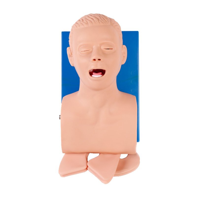氣管插管模型 氣管插管模型