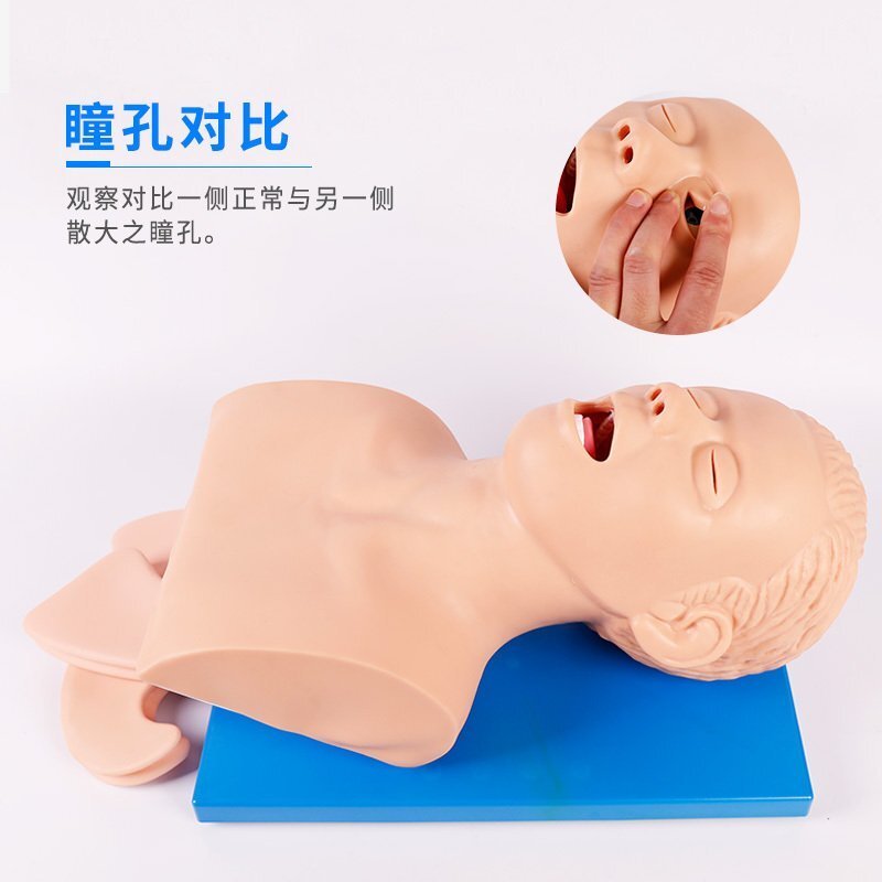 氣管插管模型 氣管插管模型