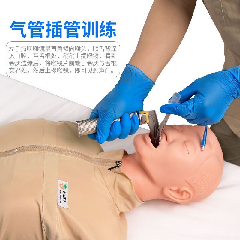 氣管插管模型 氣管插管模型
