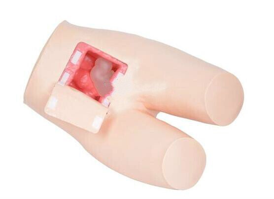 灌腸訓練模型 灌腸訓練模型