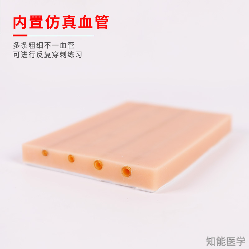 靜脈穿刺模型 靜脈穿刺模型