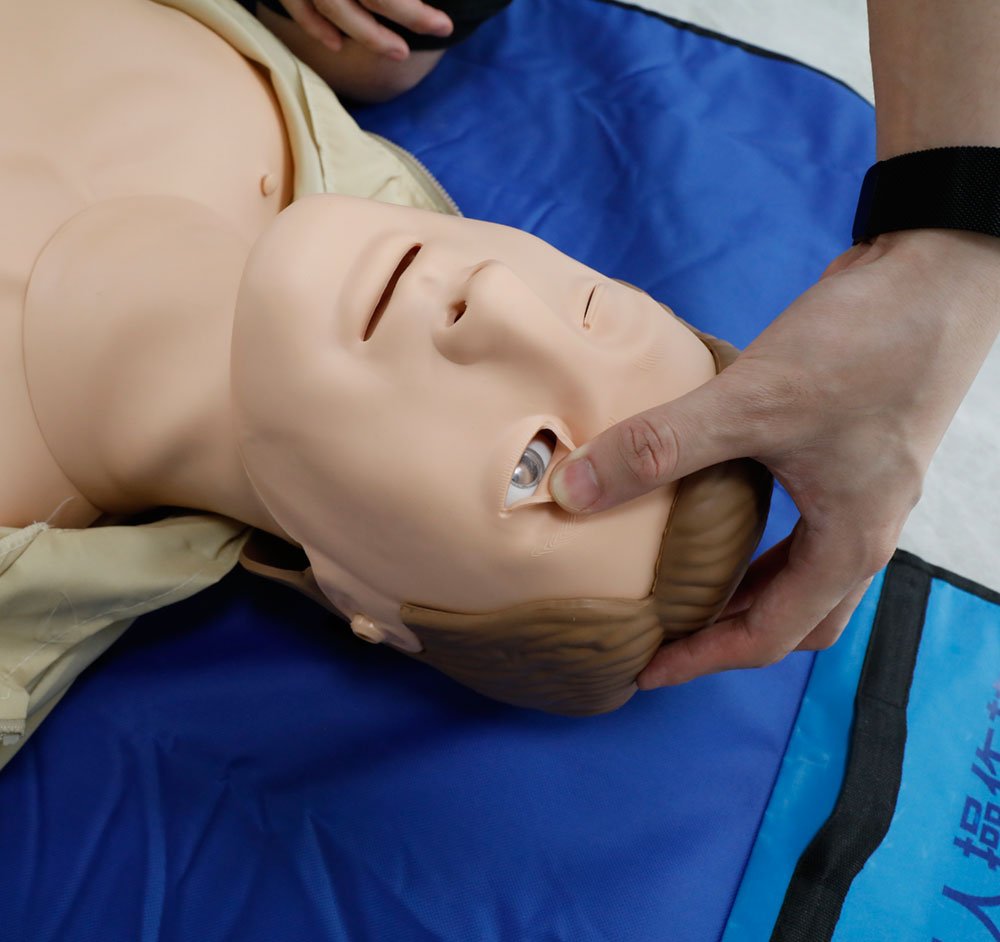 心肺復(fù)蘇模擬人 心肺復(fù)蘇模擬人