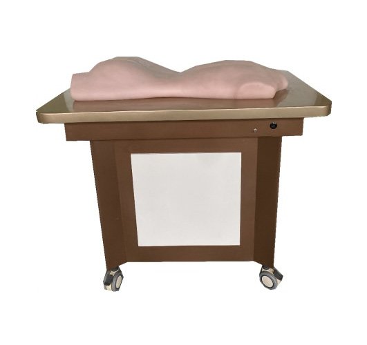 推拿模型 推拿模型