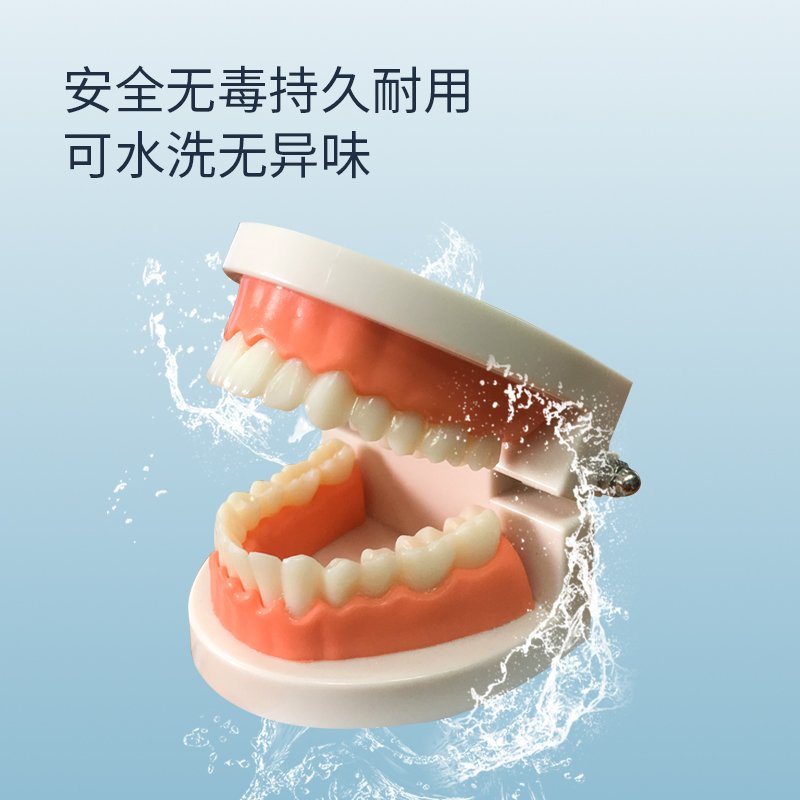 口腔護理模型（BIX-HY）