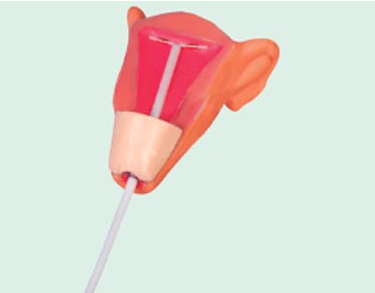 高級宮內避孕訓練模型（BIX-F9E）