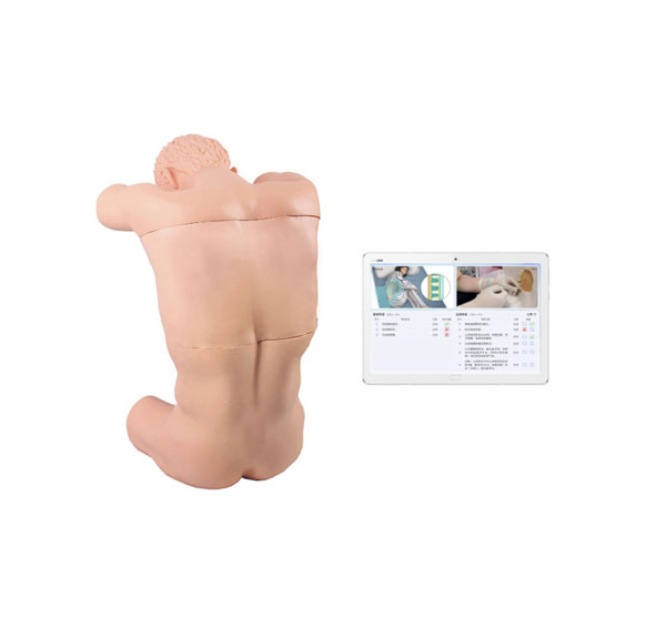 綜合穿刺模擬人