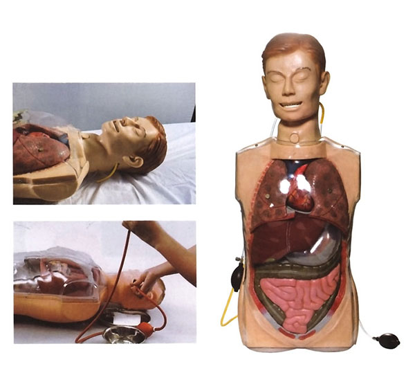 洗胃模型 洗胃模型