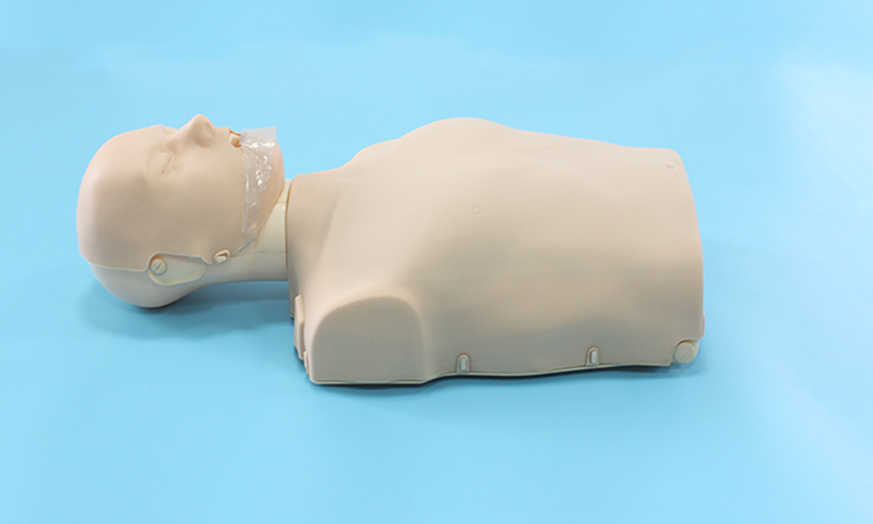 簡易電子版半身心肺復蘇模擬人（BIX/CPR100A）