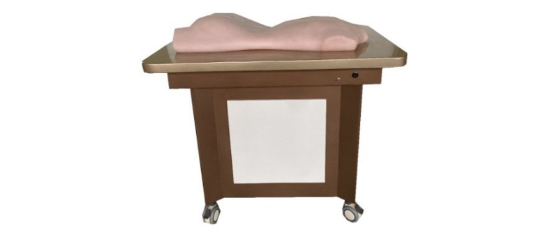 中醫針灸、推拿、背部拔罐模型（BIX-BBMX）