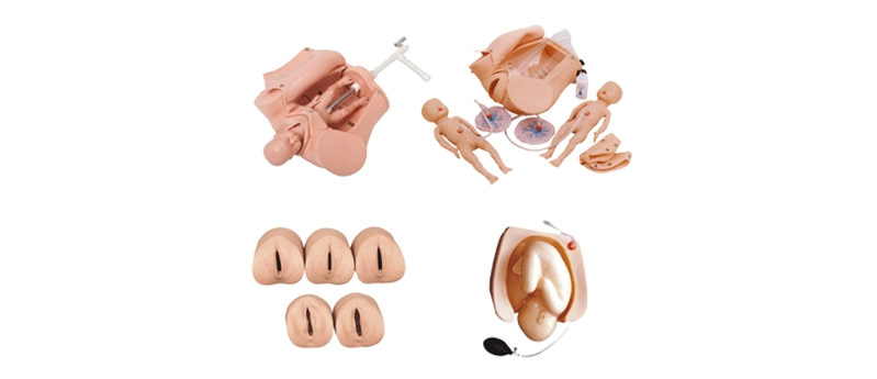 高級腹部觸診與分娩機轉綜合模型（BIX-F54）